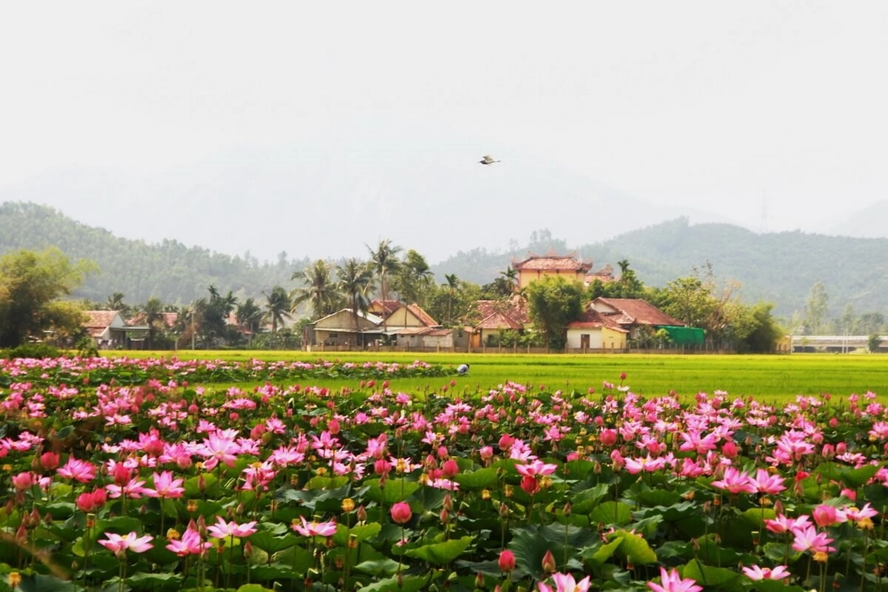 dong thap vietnam