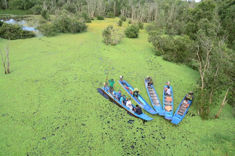 faire une balade en bateau dans le parc national de tram chim