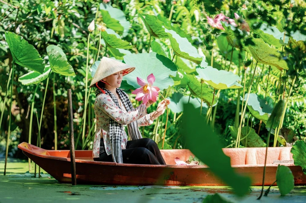 faire une promenade en barque dans les champs de thap muoi
