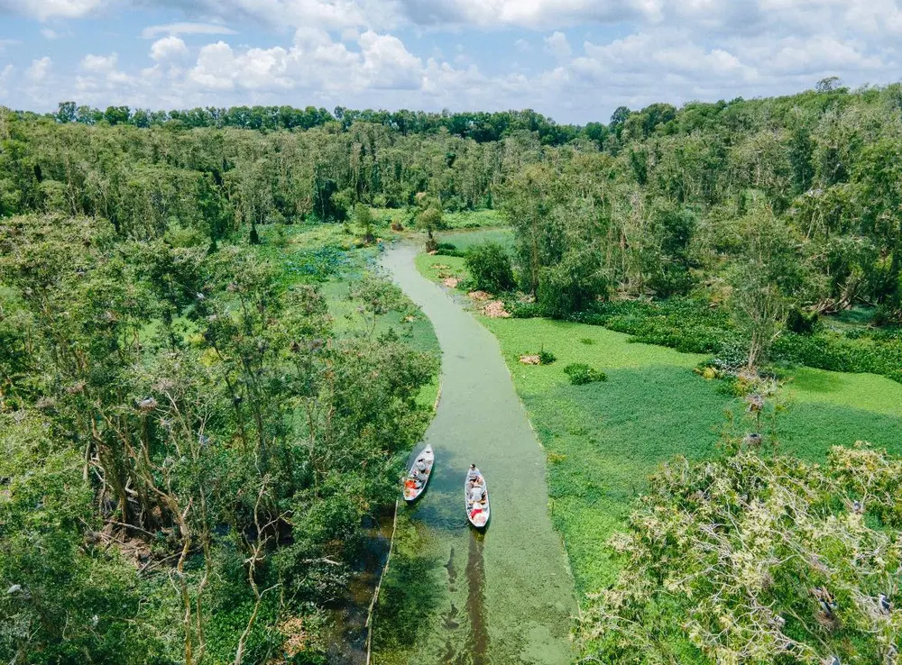 foret de cajeputiers de Tra Su an giang