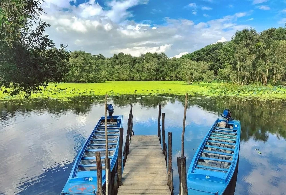 foret de tra su an giang vietnam