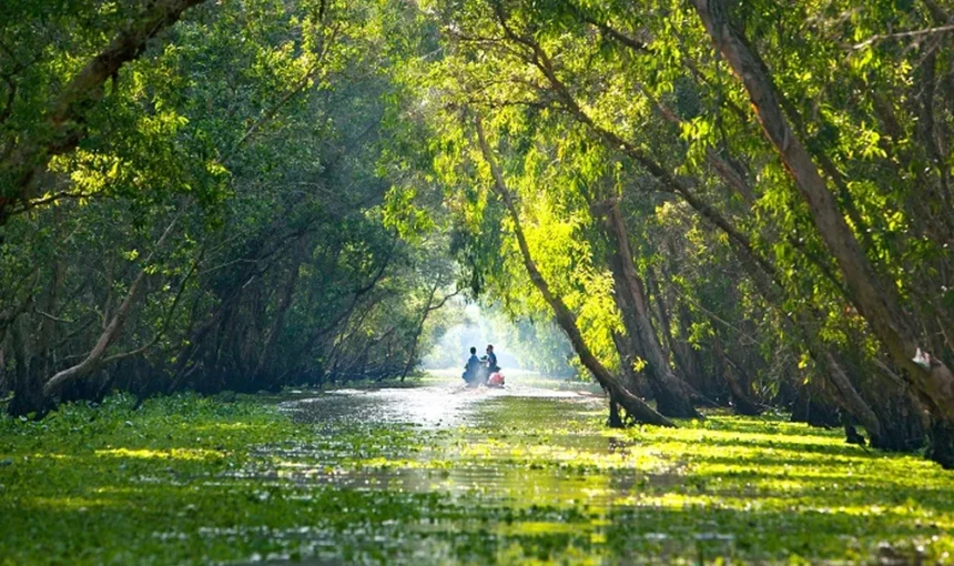 Forêt de Tra Su à An Giang: guide complet pour une visite réussie