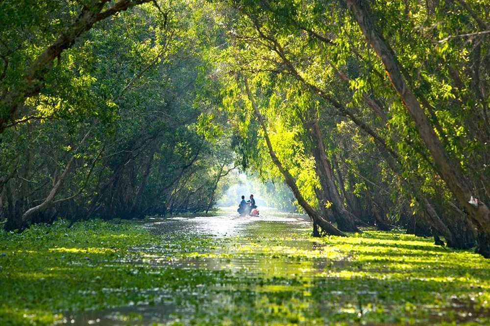 foret de tra su an giang