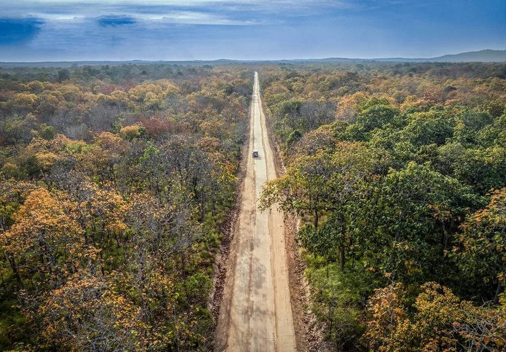 forêt du parc national de Yok Don
