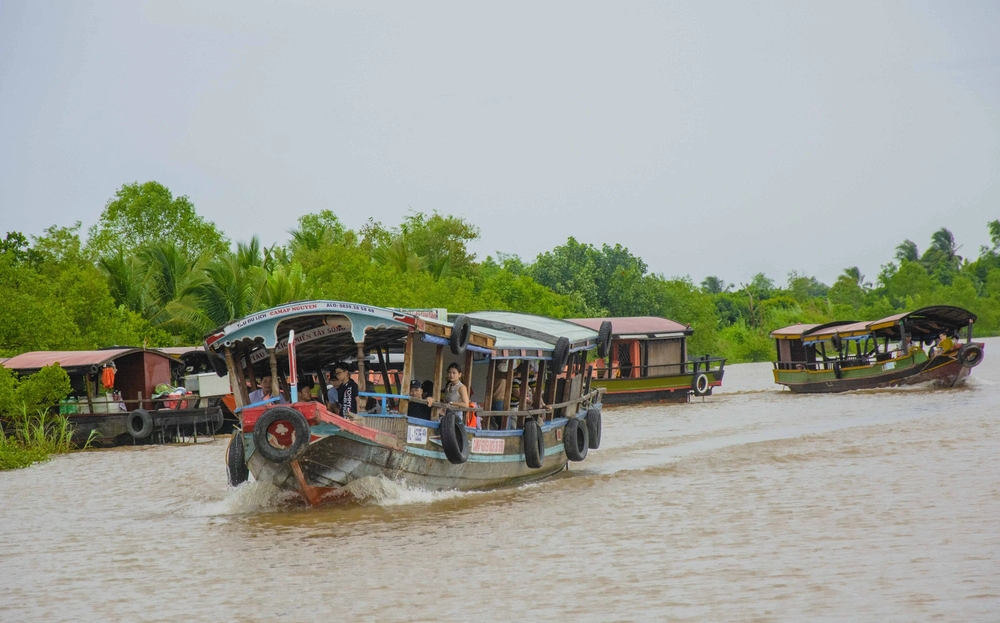ile de an binh vinh long