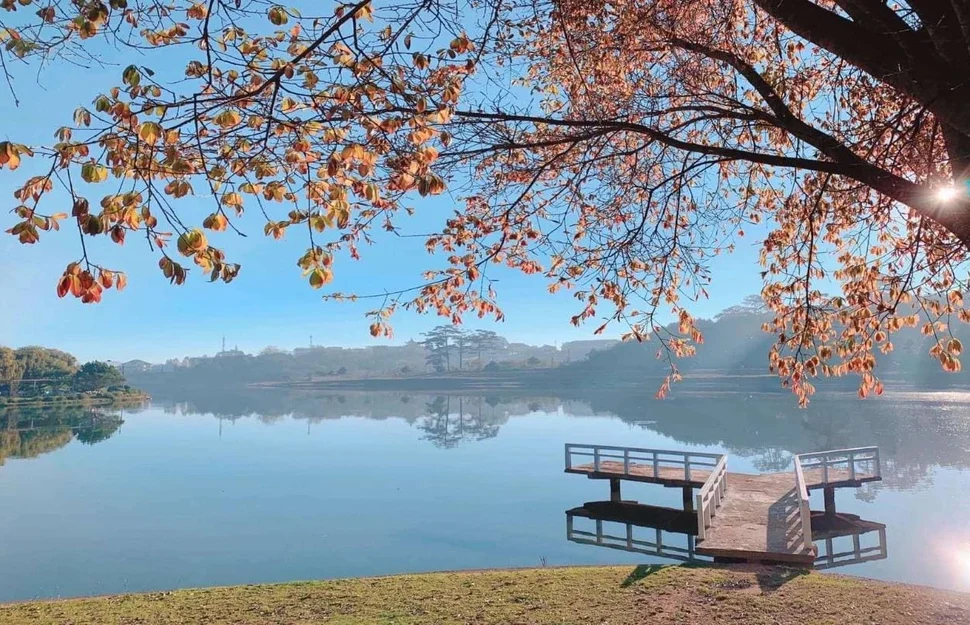 lac xuan huong vietnam