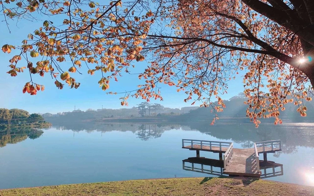 lac xuan huong vietnam