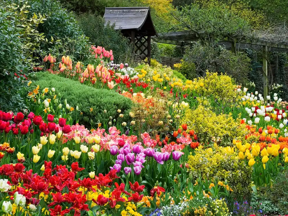 les jardins de fleurs de da lat