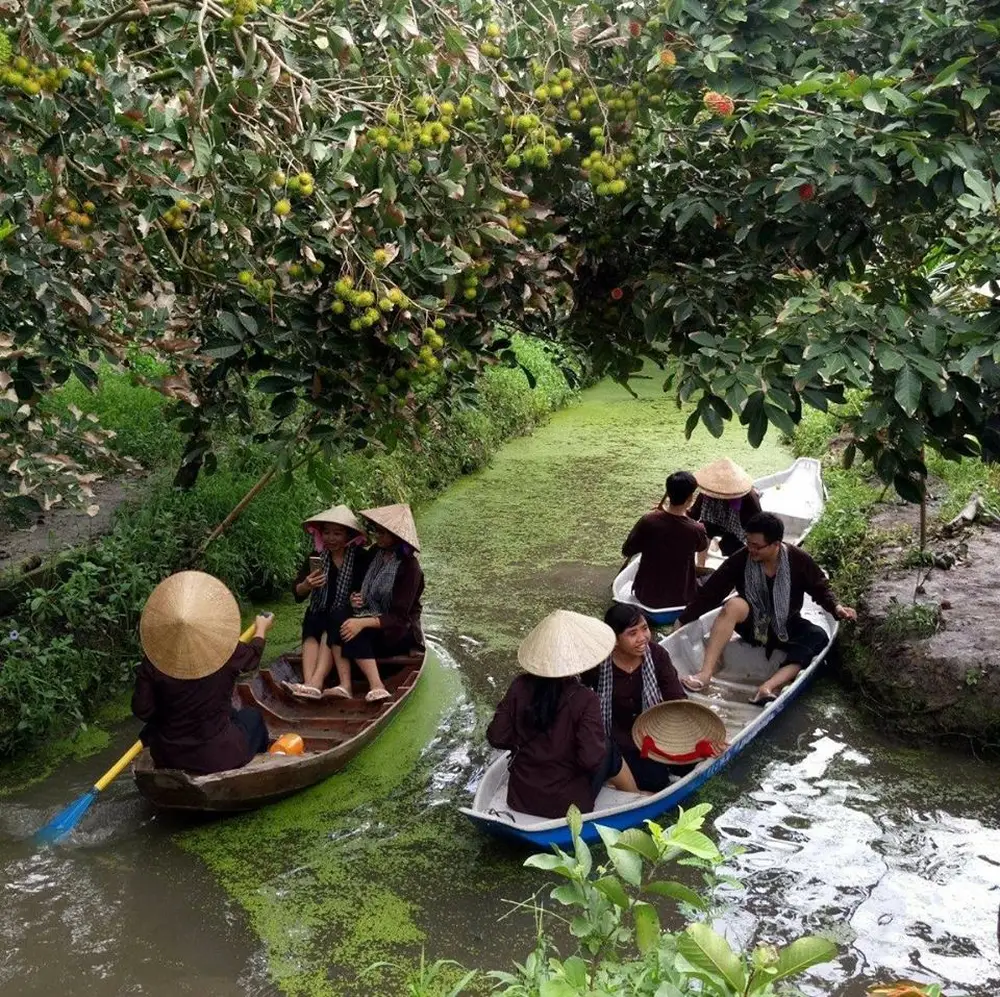 les vergers et canaux de Phong Dien
