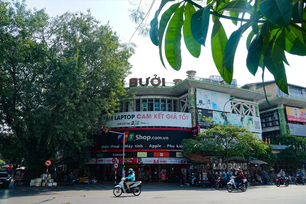 marche de buoi