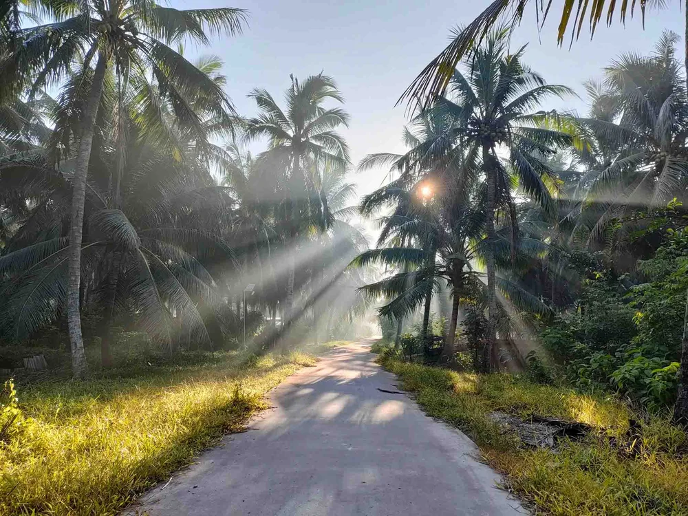 meilleure periode pour visiter Ben Tre