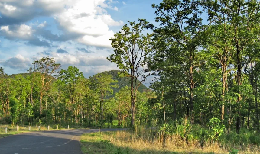Parc National de Yok Don: Au cœur des Hauts-Plateaux du Vietnam