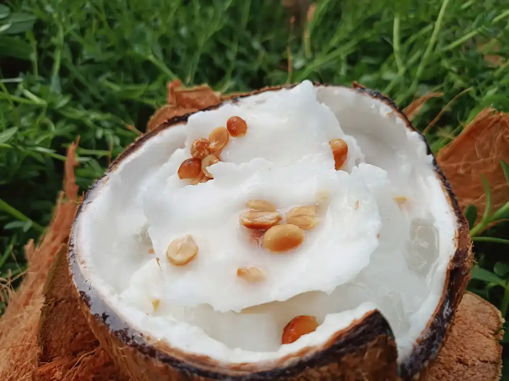 plats à base de noix de coco ben tre