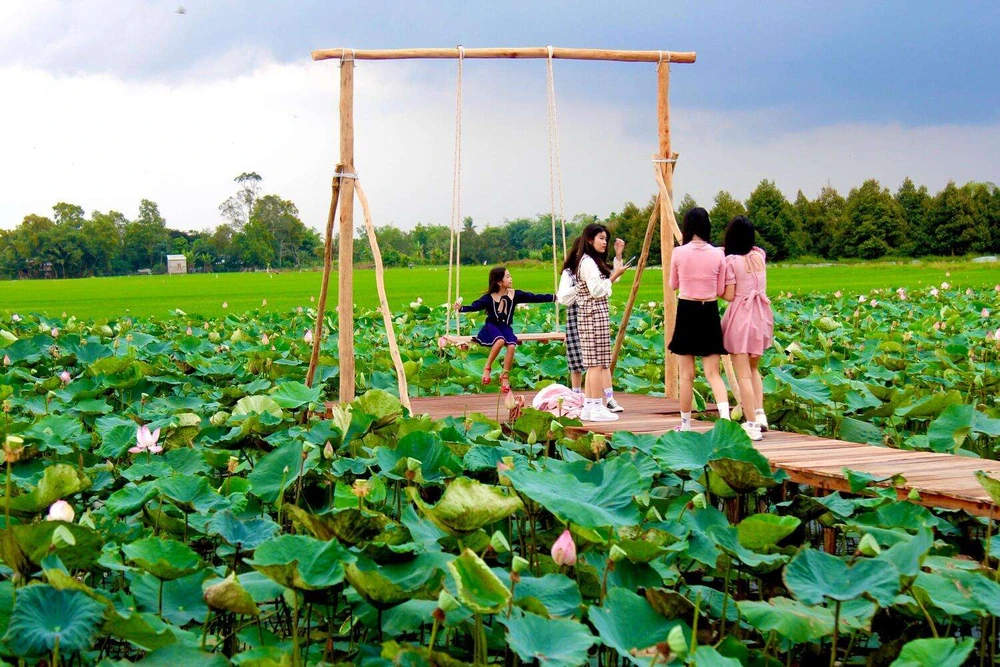 prendre des photos dans les champs de thap muoi