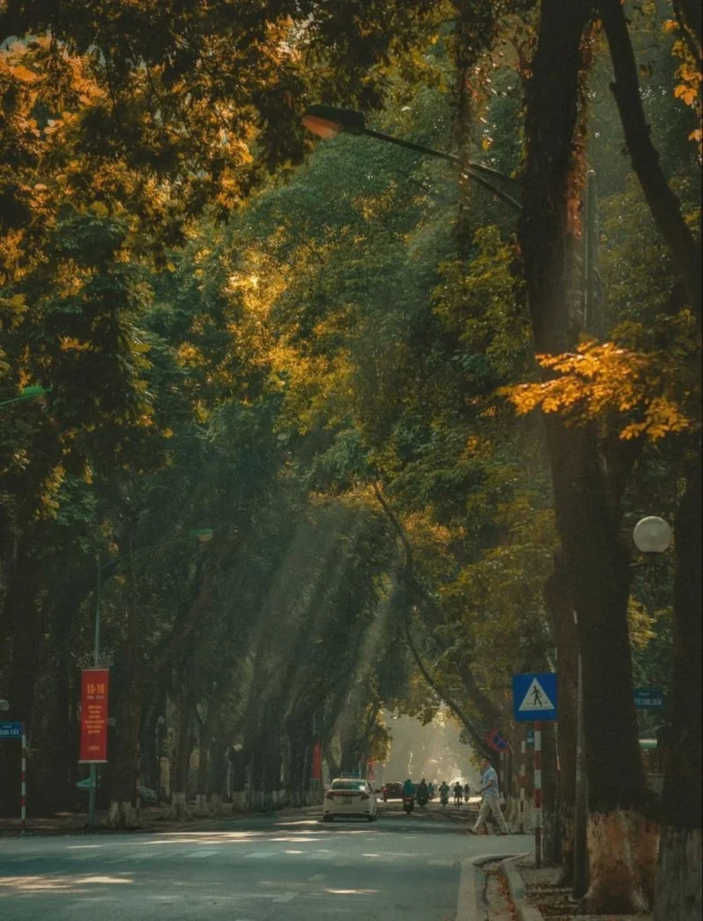 rue Phan Dinh Phung