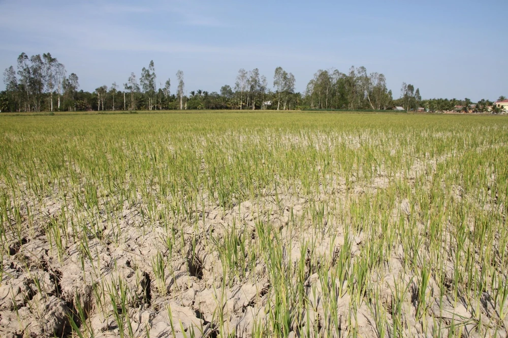 saison seche du delta du mekong vietnam