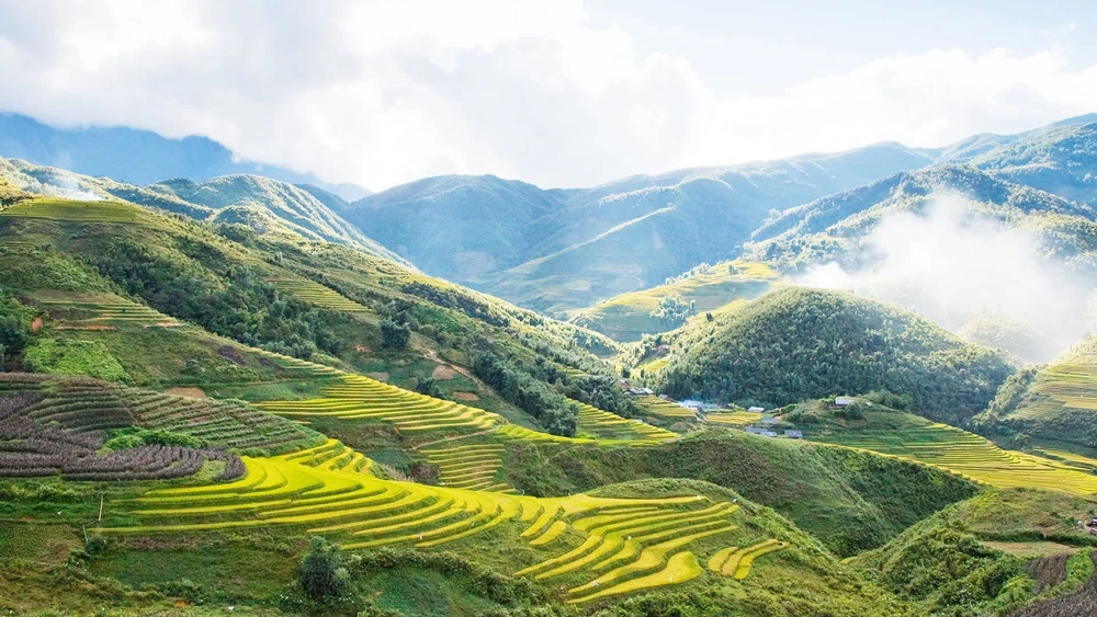 sapa vietnam