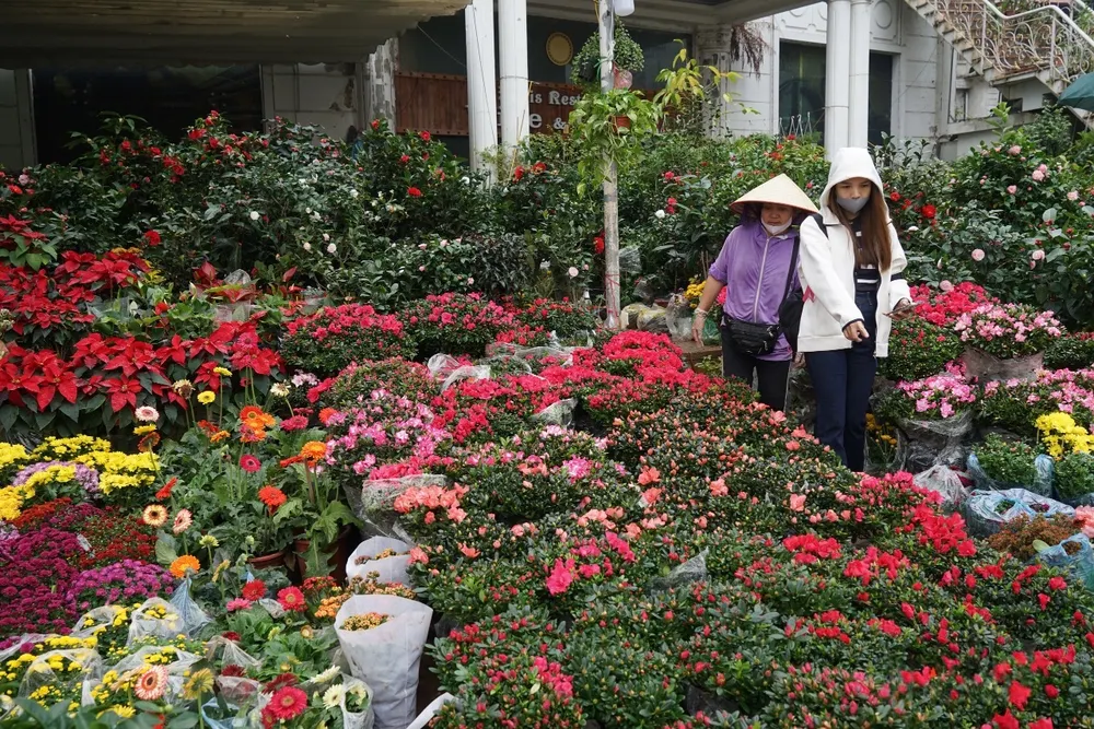 section des fleurs et des plantes du marche de buoi