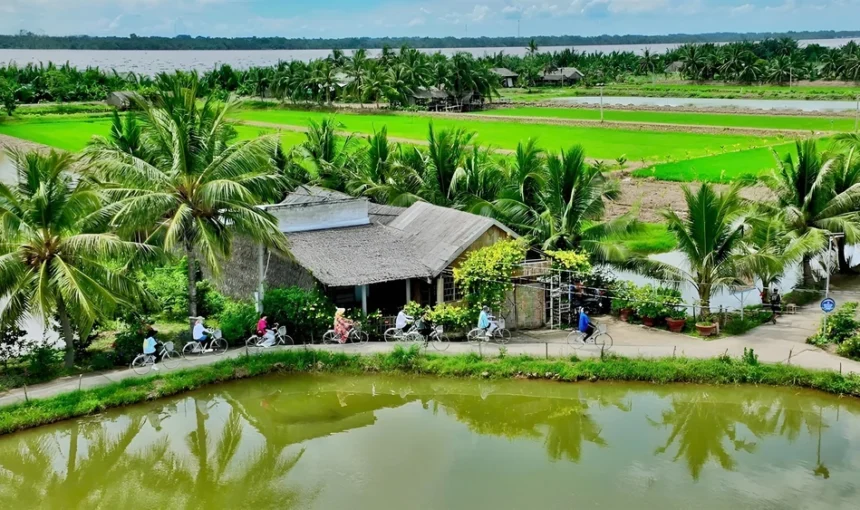 Vinh Long Vietnam: guide complet du cœur des vergers tropicaux
